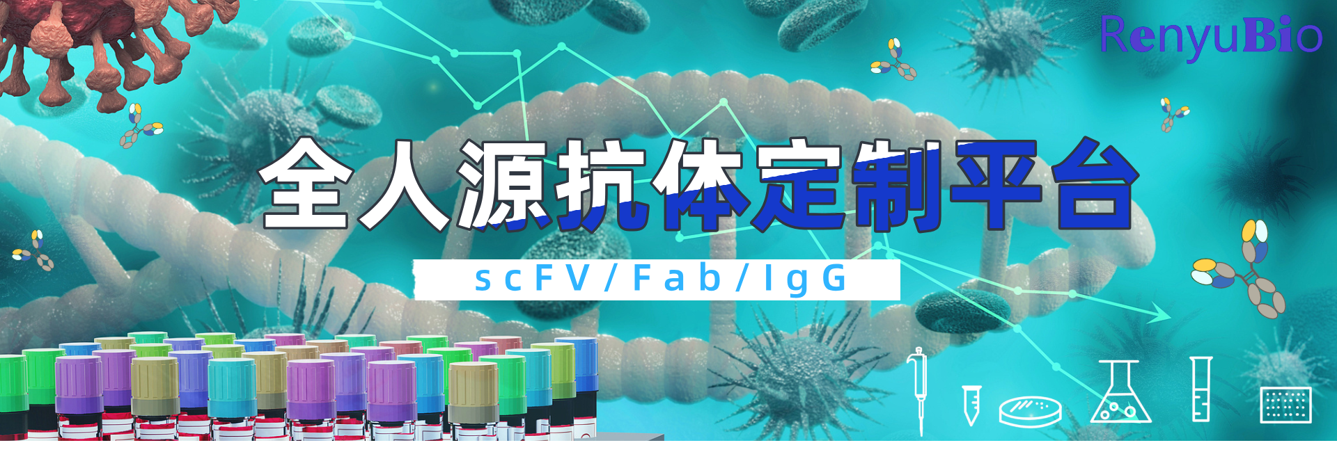 全人源抗体平台__2024-11-26+10_12_12.png