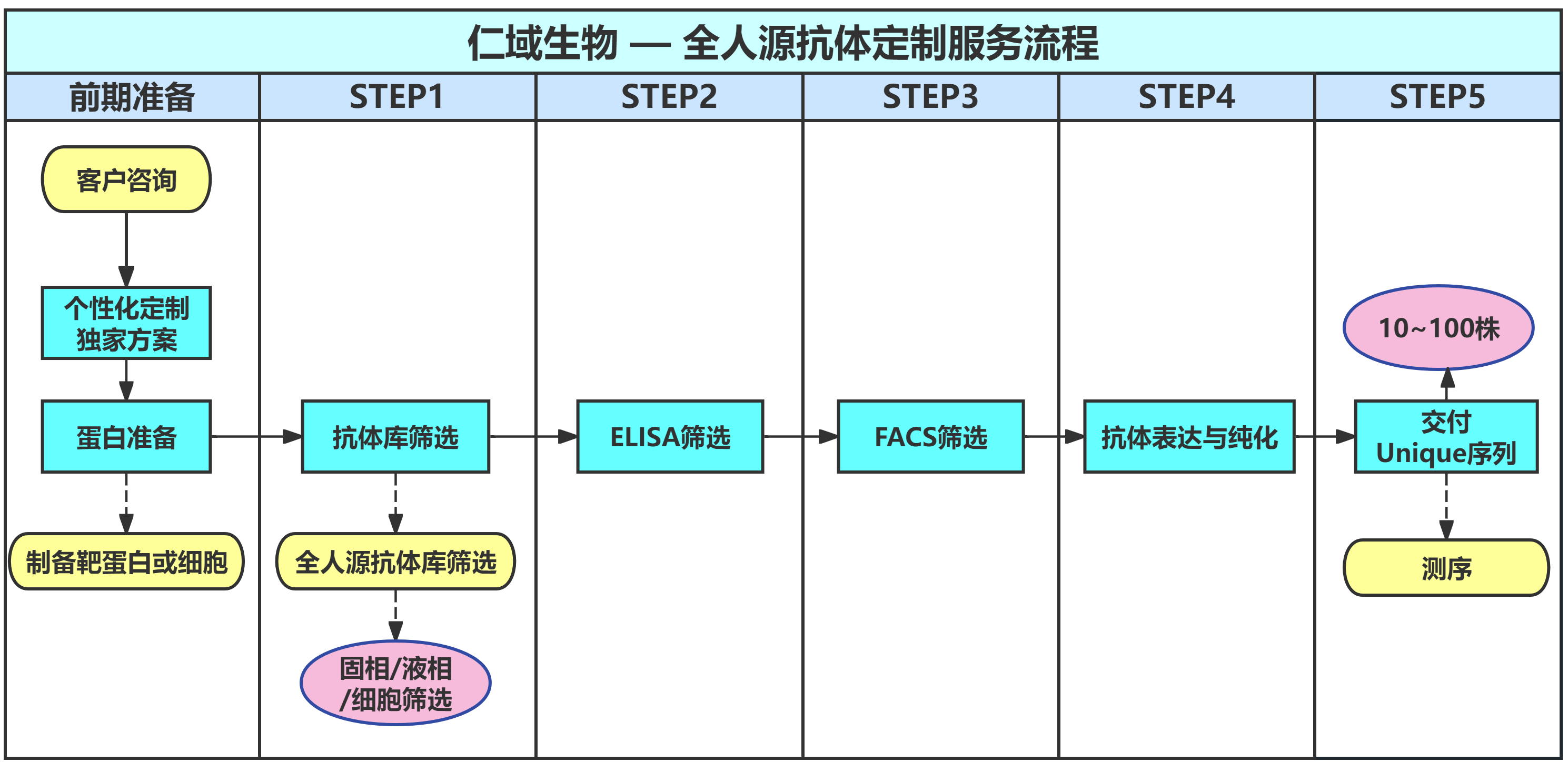 全人源抗体定制-6.png
