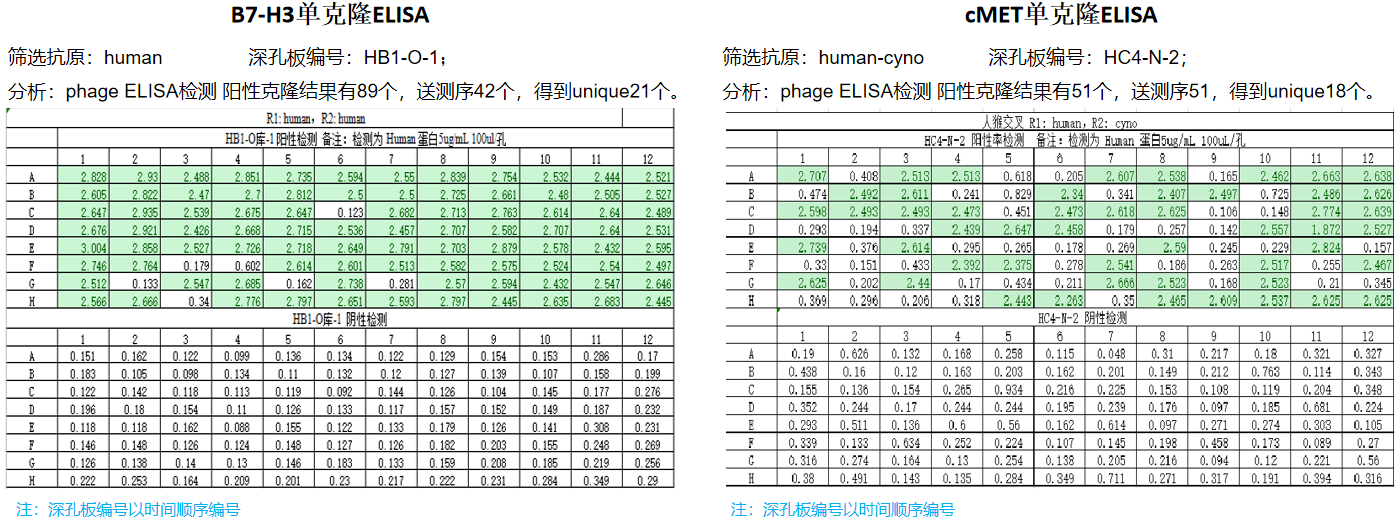 全人源抗体定制-7.png