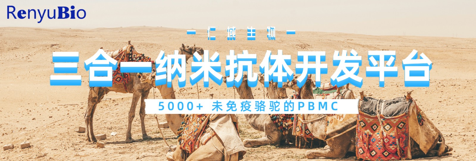 纳米抗体开发平台__2024-11-26+14_22_23.jpg