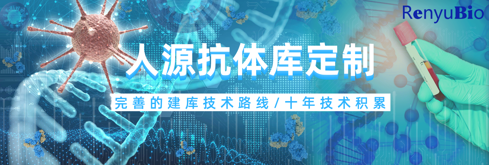 人源抗体库定制__2024-11-26+10_13_30.png