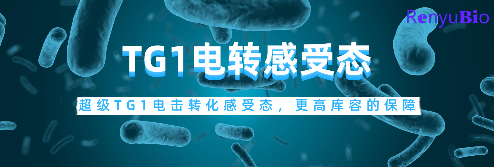 TG1电转感受态__2024-12-03+17_15_04.jpg