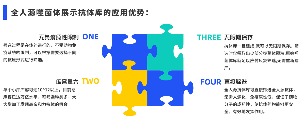 全人源应用优势.png