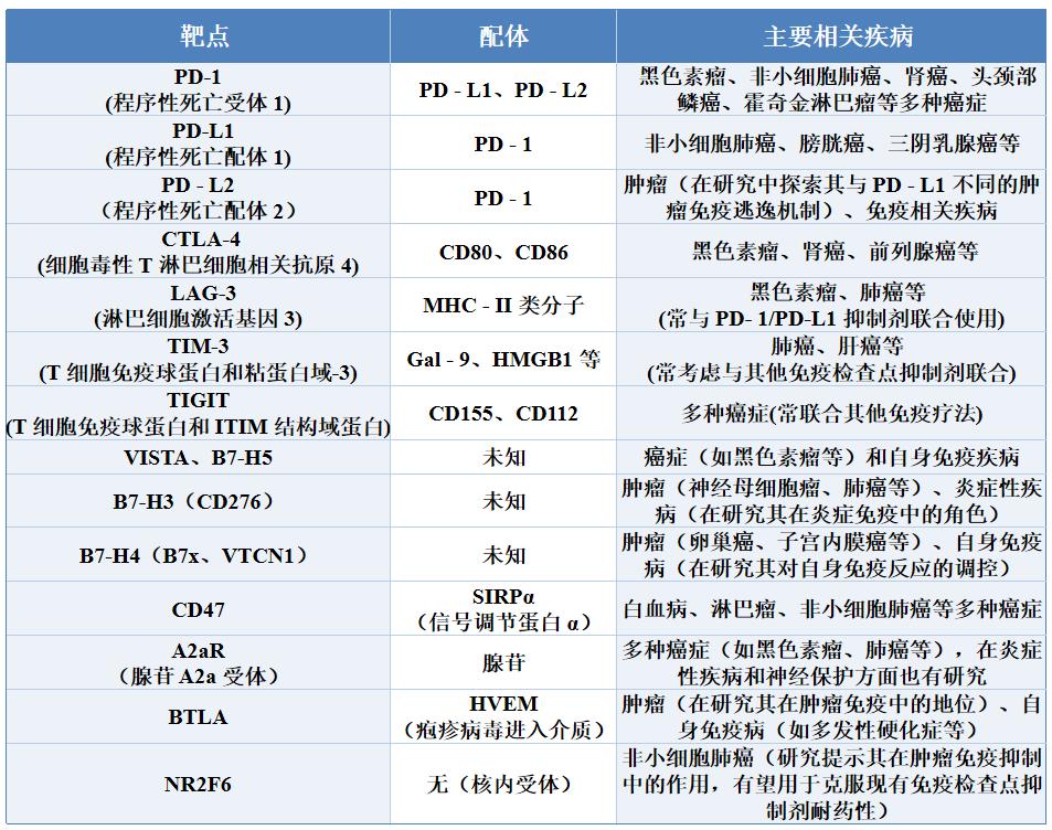 免疫2.jpg