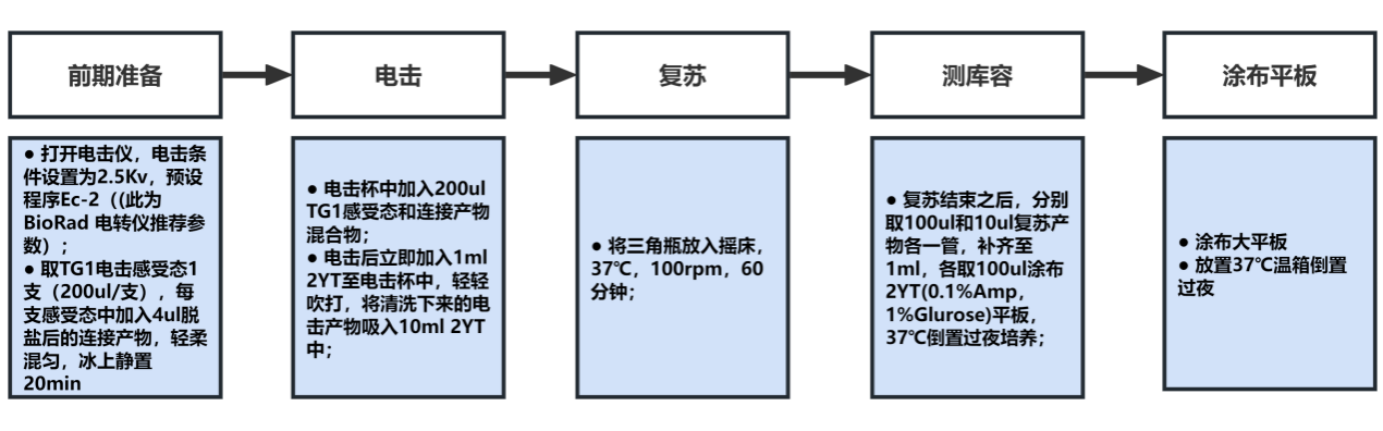 cp7.png