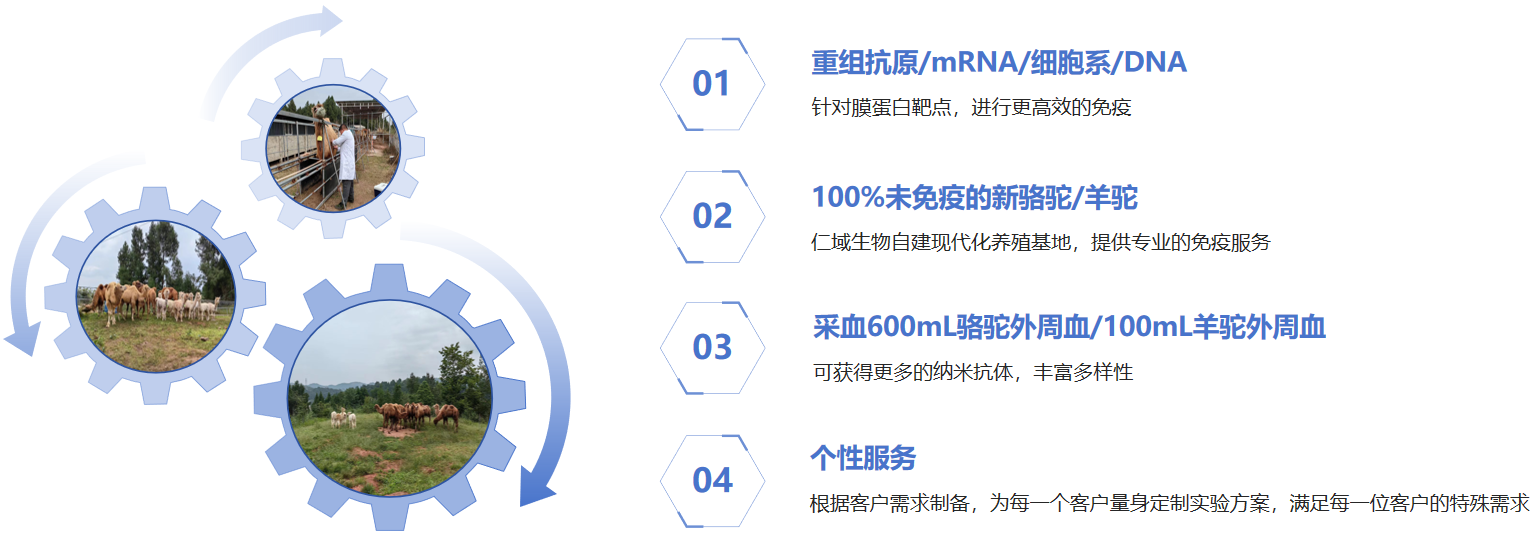 截图20250221155844.png