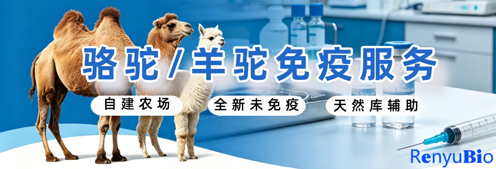 动物免疫__2026-06-22+15_24_02.jpg