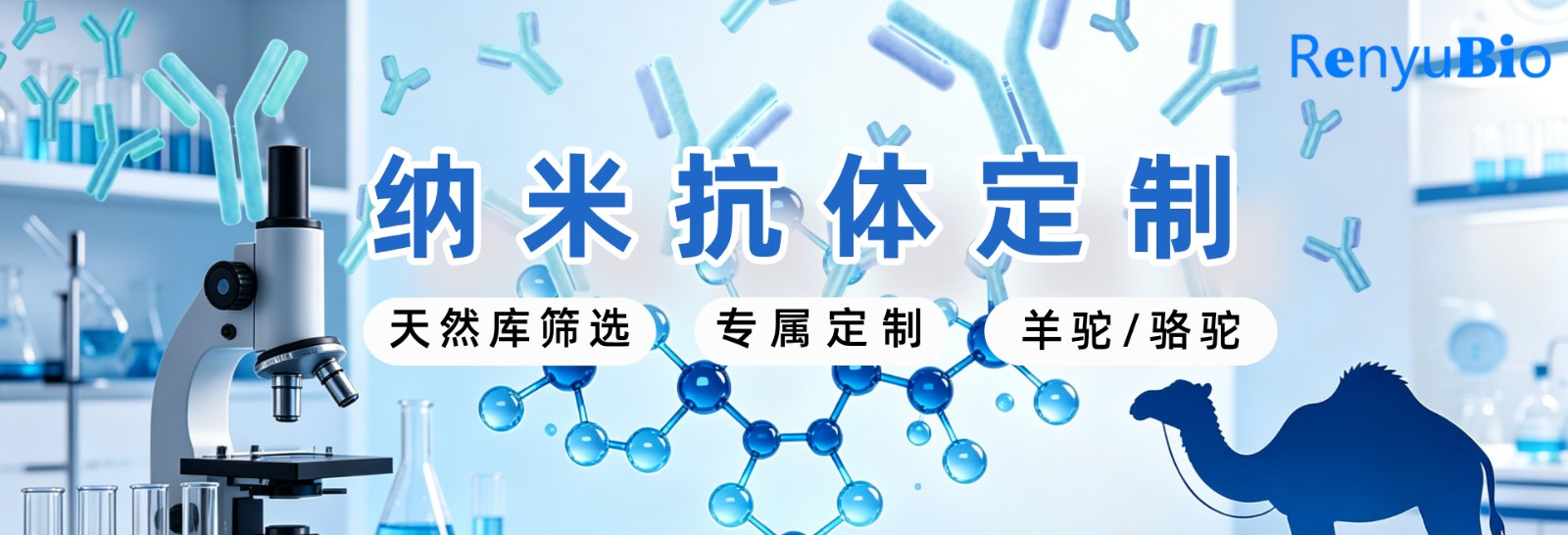 纳米抗体定制__2026-06-22+17_11_20.jpg