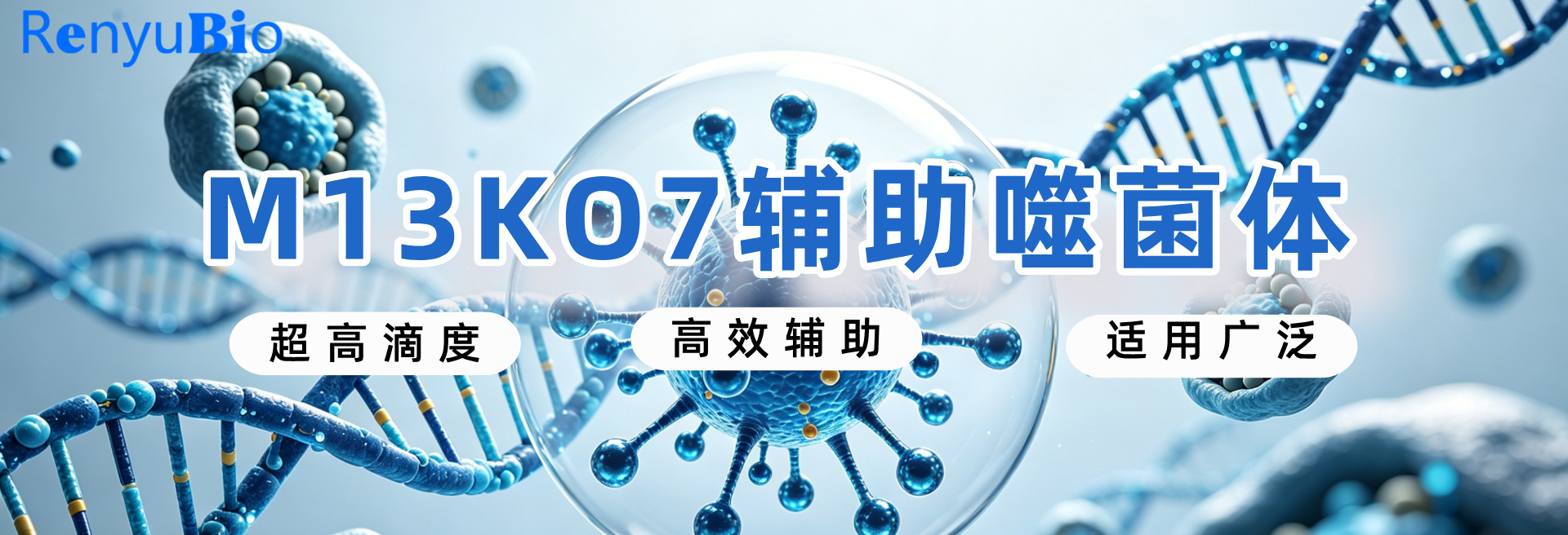 辅助噬菌体__2026-06-22+17_30_40.jpg